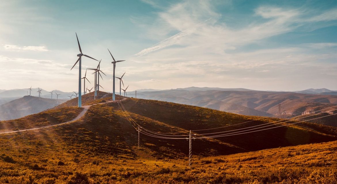 Refonte site web Green Planet